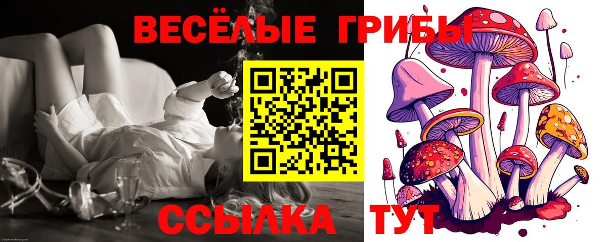 Псилоцибиновые грибы ЛСД Чайковский
